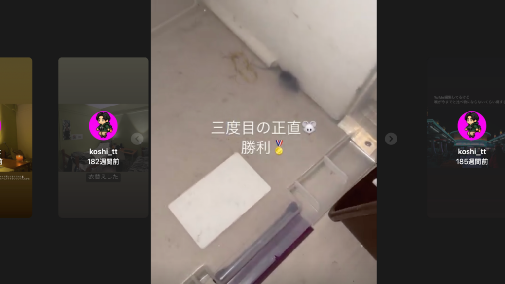 学生寮の部屋に出たネズミを捕獲したときの画像。まさか3回も捕まえることになるとは思いませんでした。